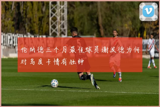 伦纳德三个月最佳球员谢泼德为何对乌度卡情有独钟